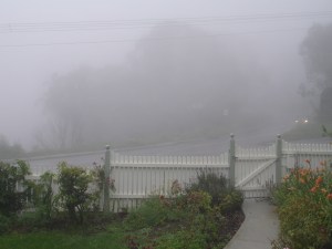 Katoomba 2007 1