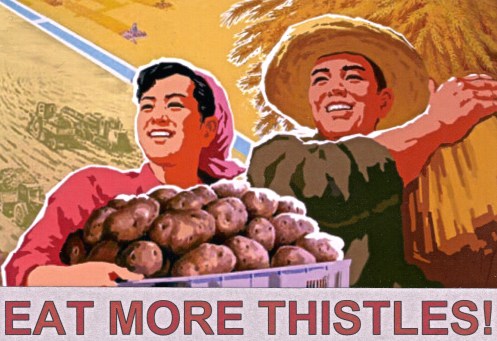 Eat More Thistles image copy